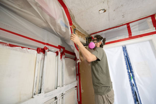 Troy, AL Mold Removal Company